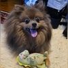 sammysfluffy16
